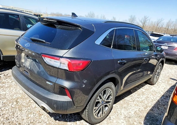 Ford Kuga cena 49000 przebieg: 55000, rok produkcji 2020 z Nisko małe 46